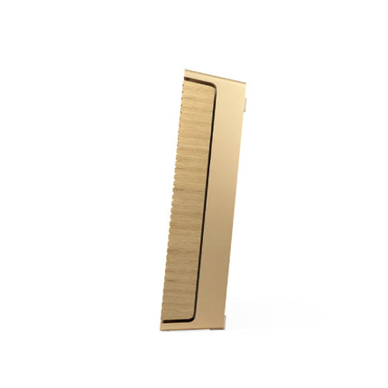 Boxa Bang & Olufsen Beosound Level