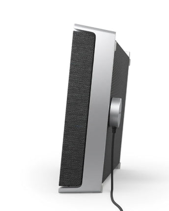 Bang & Olufsen Beosound Level