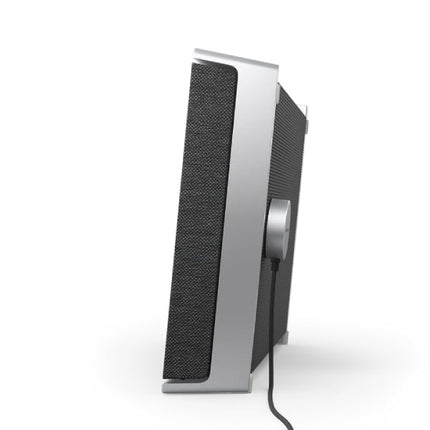 Boxa Bang & Olufsen Beosound Level