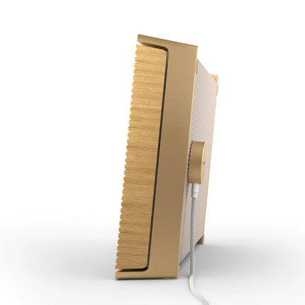 Boxa Bang & Olufsen Beosound Level