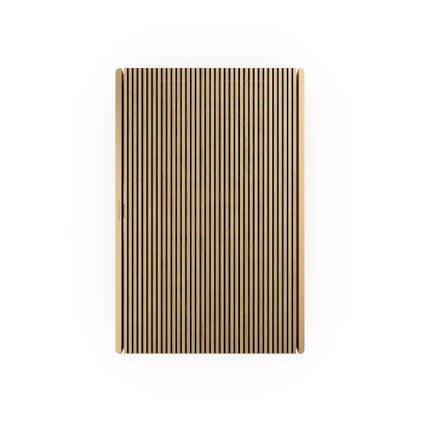 Boxa Bang & Olufsen Beosound Level