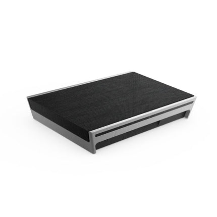 Boxa Bang & Olufsen Beosound Level