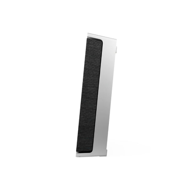 Boxe active Bang&Olufsen Beosound Level