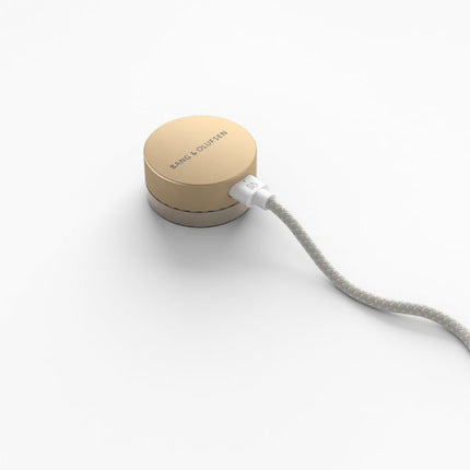 Boxa Bang & Olufsen Beosound Level