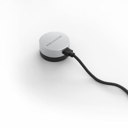 Boxa Bang & Olufsen Beosound Level