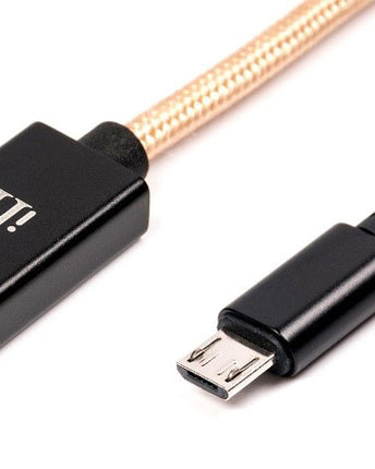 iFi Audio Type-C OTG Cable