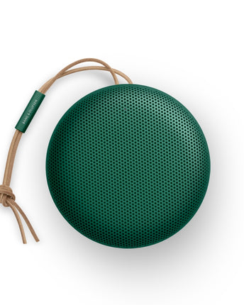 Bang & Olufsen Beosound A1 2nd Gen