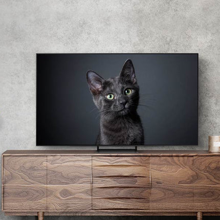 Televizor Samsung OLED 65S90CA, 163 cm, Smart, 4K Ultra HD, Clasa F