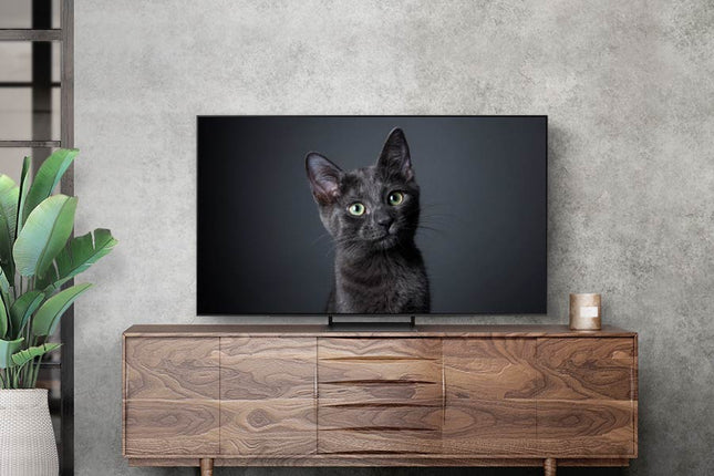 Televizor Samsung OLED 55S90CA, 138 cm, Smart, 4K Ultra HD, Clasa G
