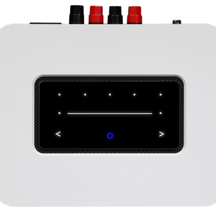 Amplificator Bluesound Powernode