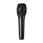 Audio-Technica AT2010