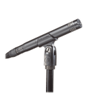 Audio-Technica AT2031