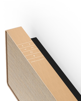 Bang & Olufsen Beosound Stage