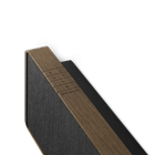 Bang & Olufsen Beosound Stage