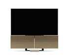 Bang & Olufsen Beovision Harmony 88