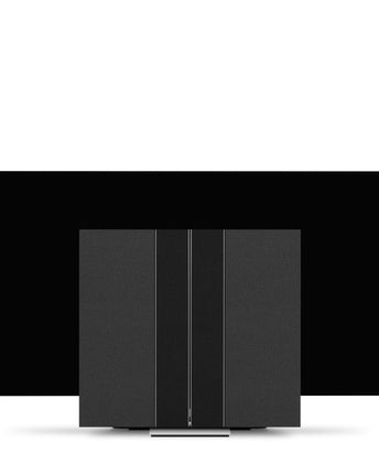 Bang & Olufsen Beovision Harmony 88" floorstand