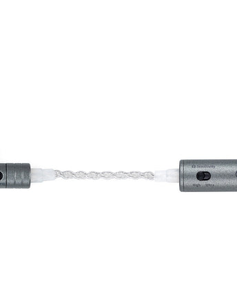 iFi Audio iEMatch+