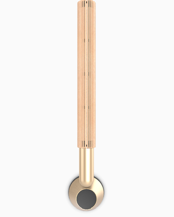 Bang & Olufsen Beolab 28 wall mount