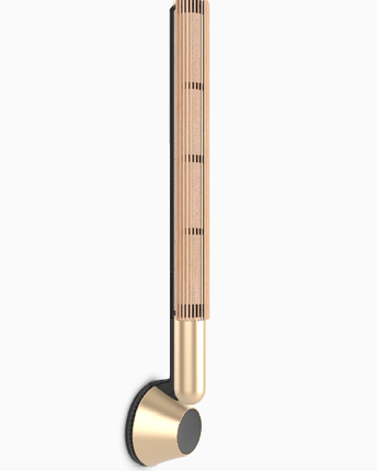 Bang & Olufsen Beolab 28 wall mount