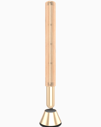 Bang & Olufsen Beolab 28 floor stand