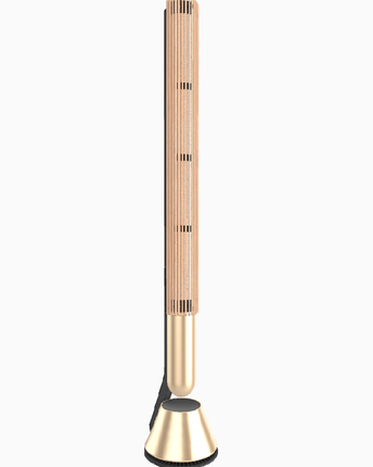 Bang & Olufsen Beolab 28 floor stand