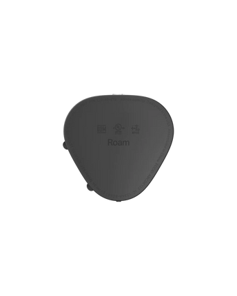 Sonos Roam