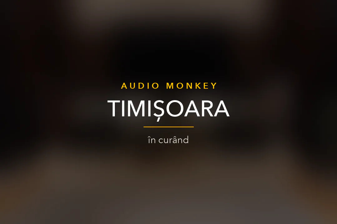 Showroom Audio Monkey Timișoara (în curând)